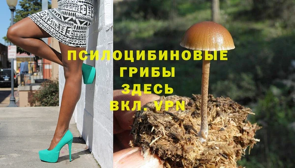 хмурый Абинск