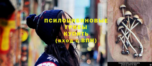 mix Абаза