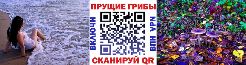 Галлюциногенные грибы GOLDEN TEACHER  купить закладку  Мосальск 