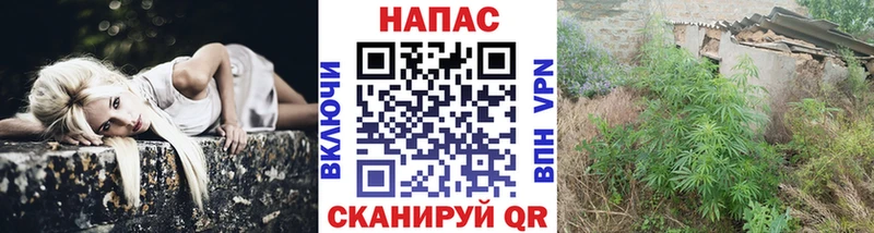 закладка  Мосальск  Канабис LSD WEED 